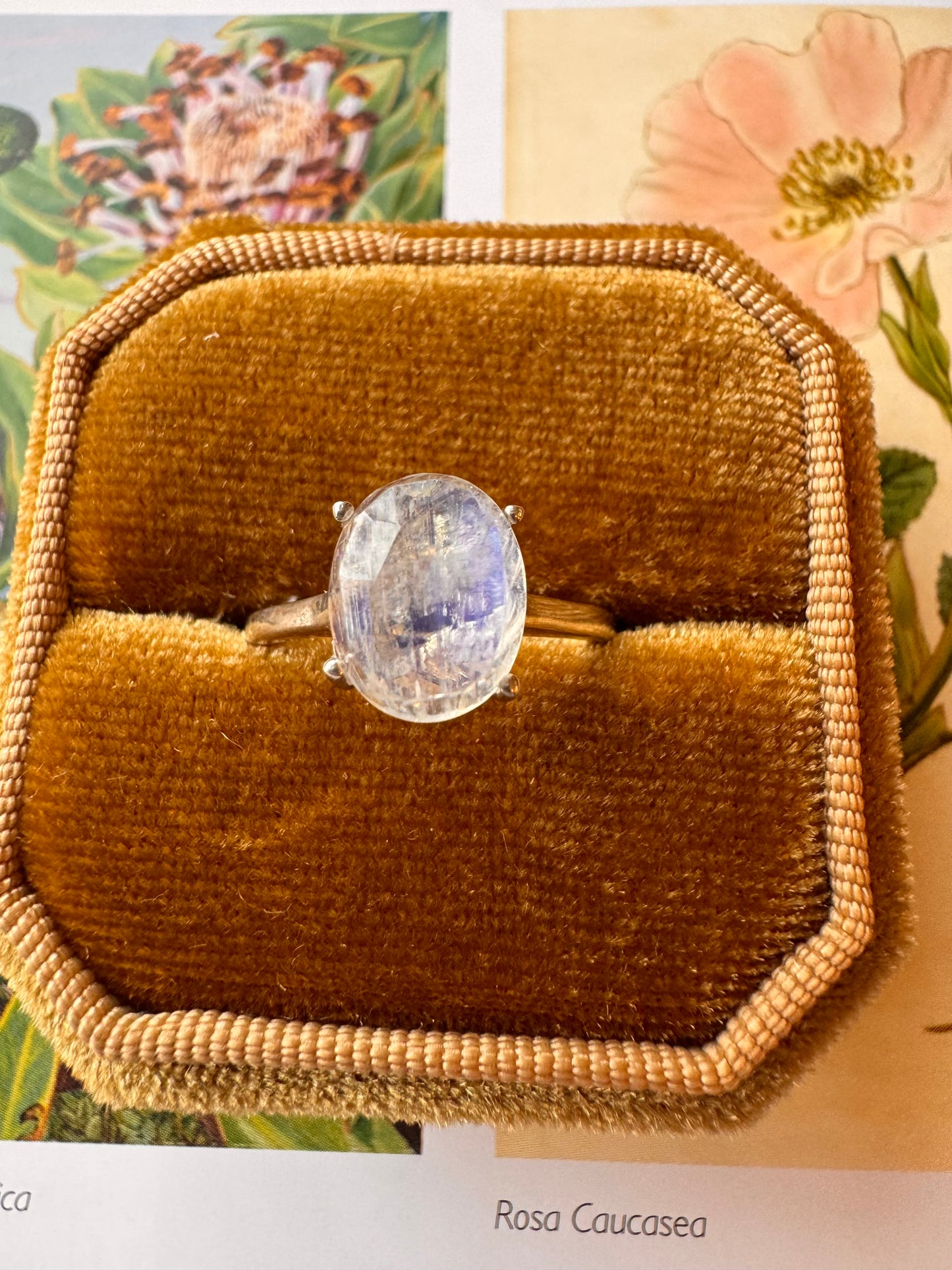 Moonstone Sterling SIlver Ring Size 7 - Moon Room Shop and Wellness
