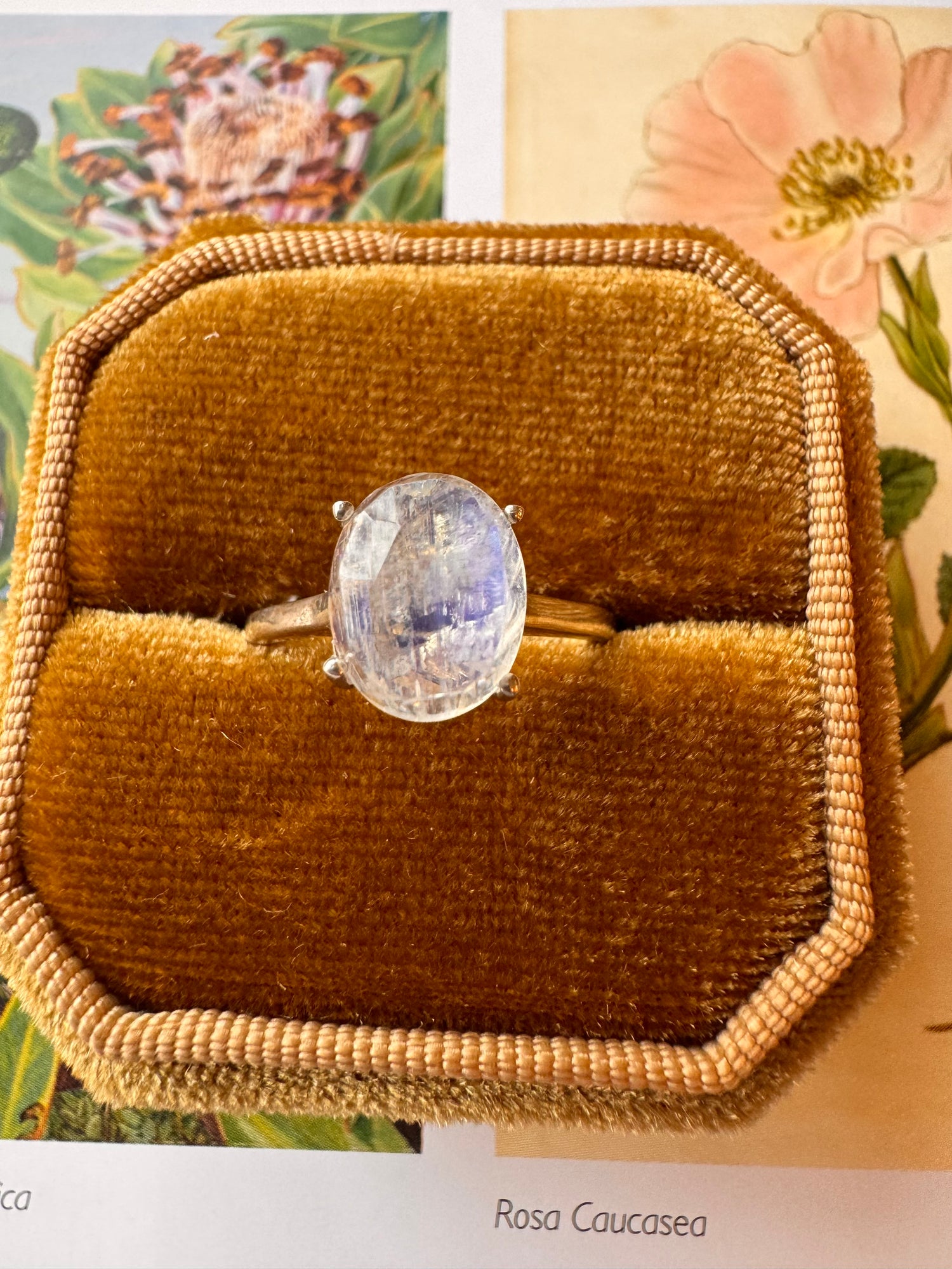 Moonstone Sterling SIlver Ring Size 7 - Moon Room Shop and Wellness