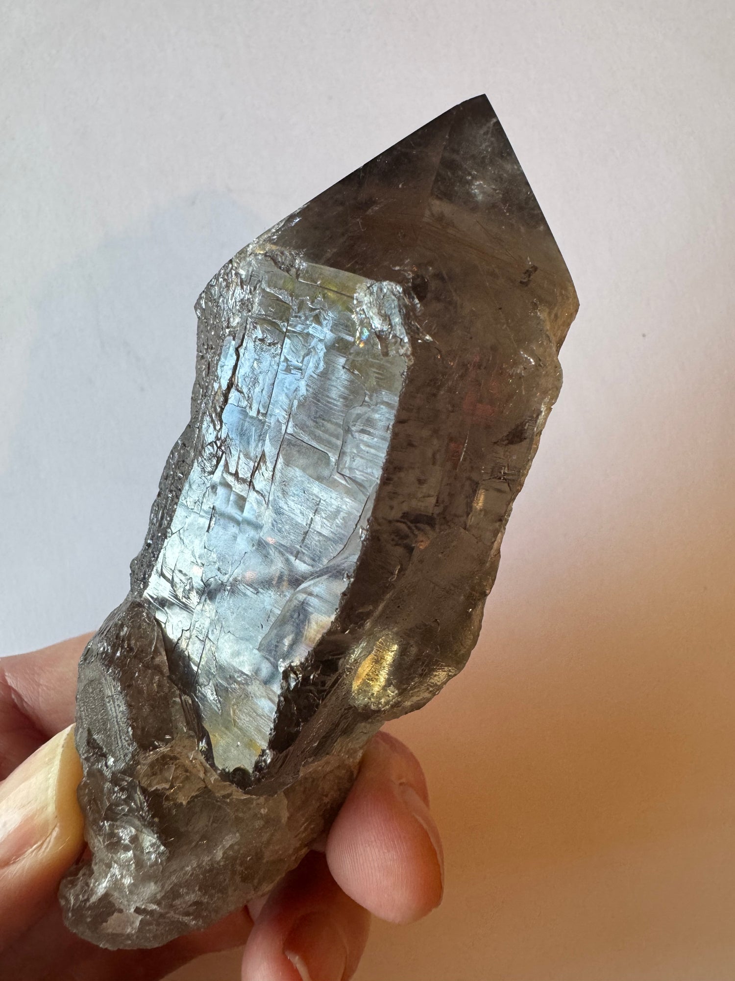 Smoky Quartz Rultilated Point 240 g Brazil Spectacular Beauty - Moon Room Shop and Wellness