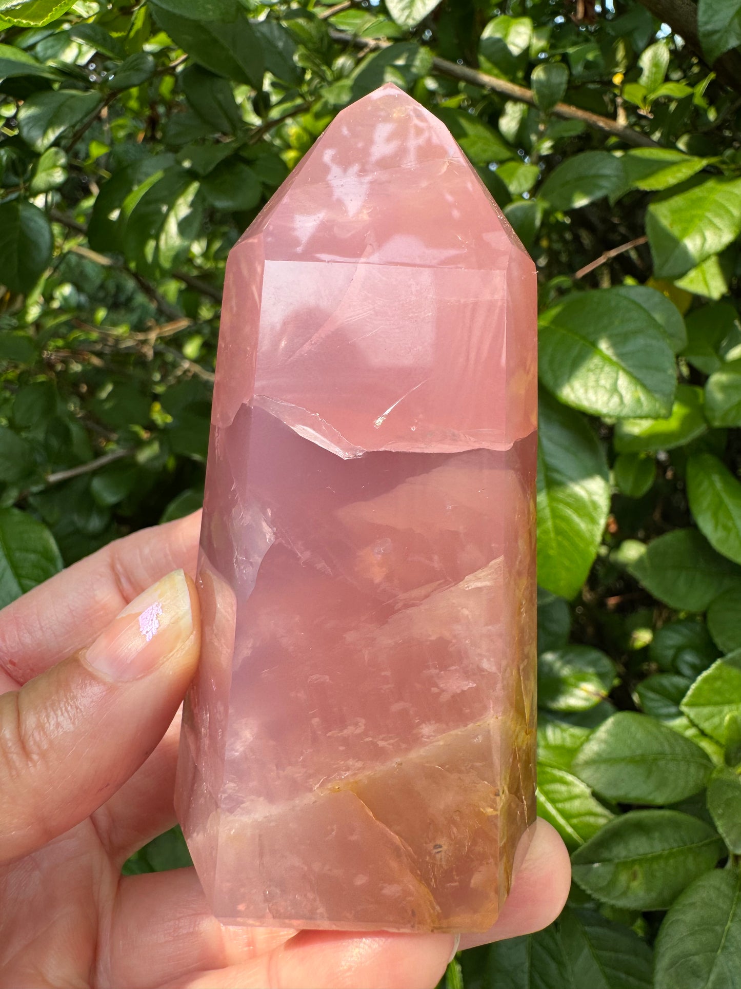 Guava Rose Quartz w Golden Healer - Gorgeous! 254 g - Brazil - Moon Room Shop and Wellness