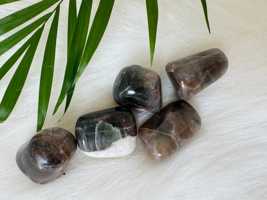 Cat's Eye Chrysoberyl Tumbled - Moon Room Shop and Wellness