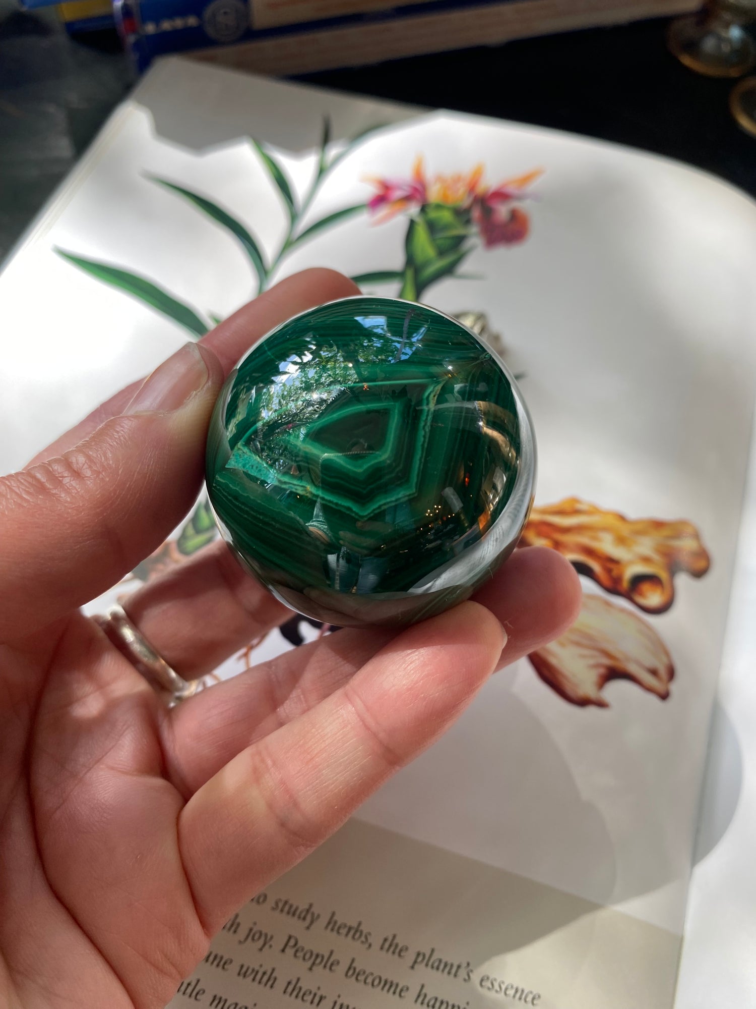 Malachite Sphere 187 g - Moon Room Shop and Wellness