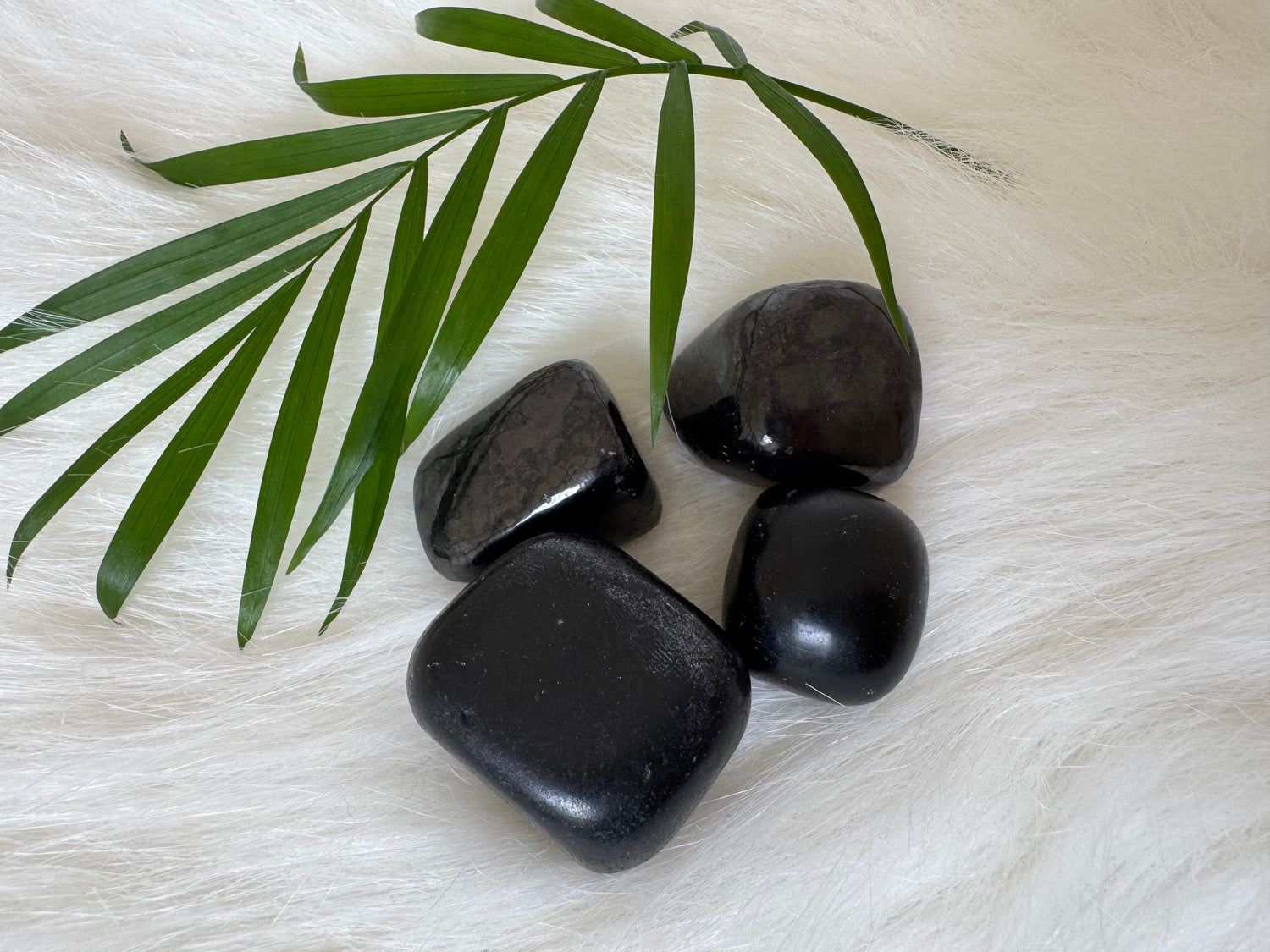 Shungite Tumbled Type II Russia - Moon Room Shop and Wellness