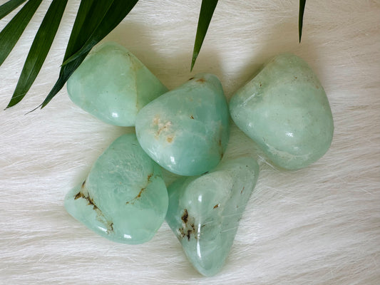 Prehnite Tumbled - Moon Room Shop and Wellness
