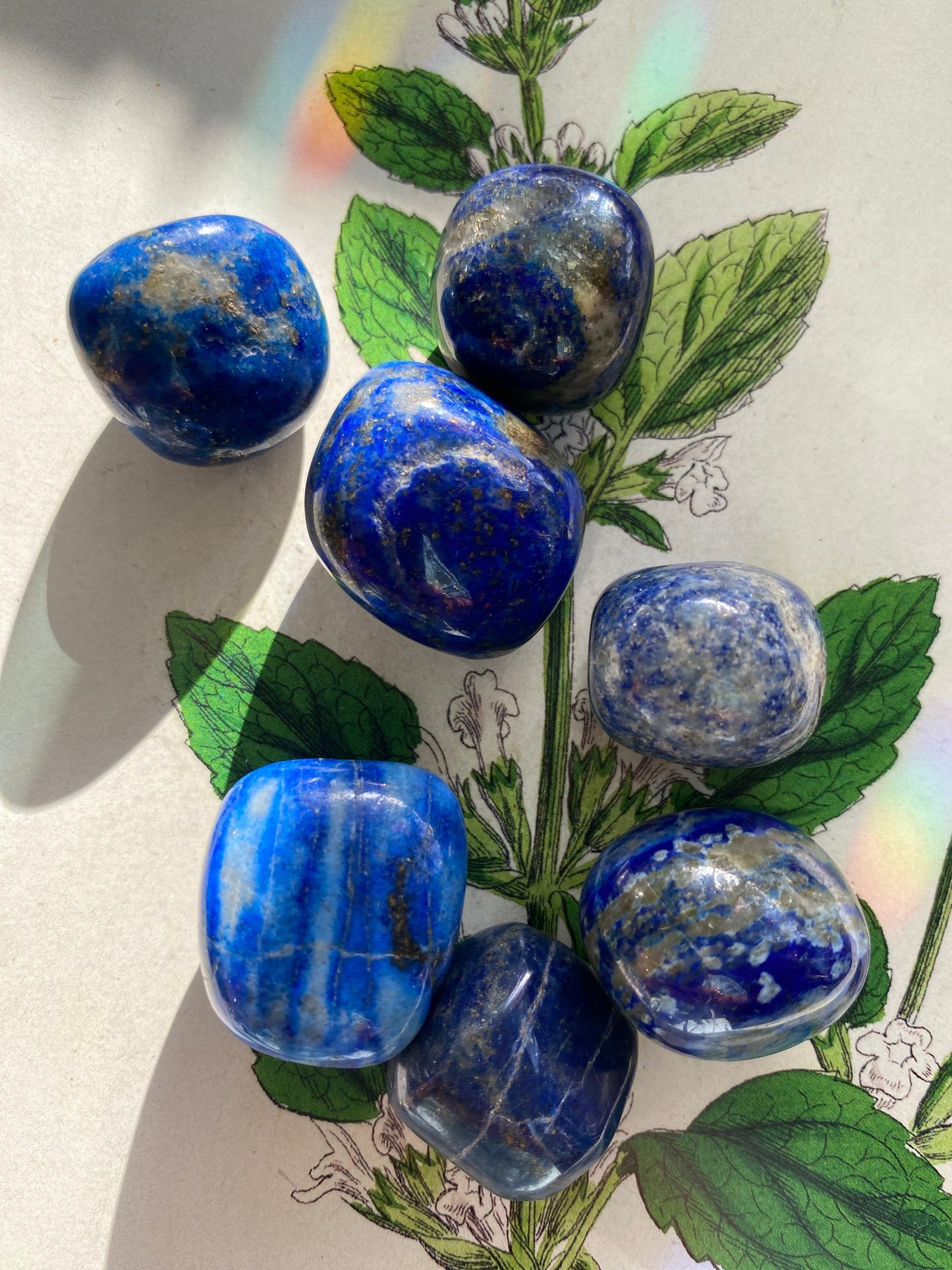 Lapis Lazuli Tumbled Stone - Moon Room Shop and Wellness