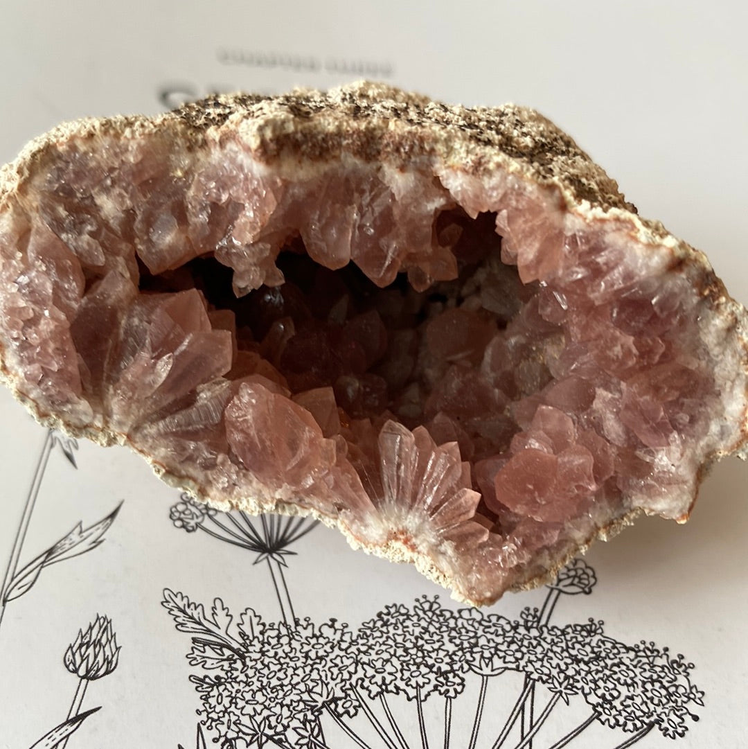 Pink Amethyst Geode - 105 g - Argentina - Moon Room Shop and Wellness