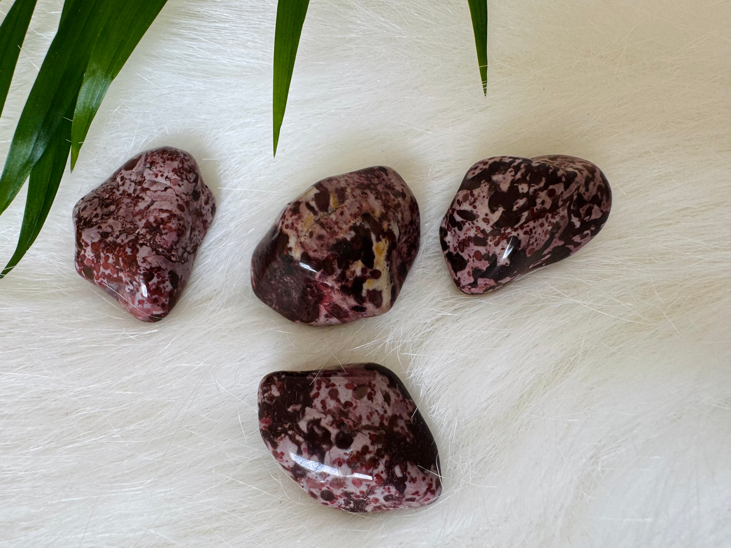 Red Leopard Skin Jasper Tumbled - Moon Room Shop and Wellness