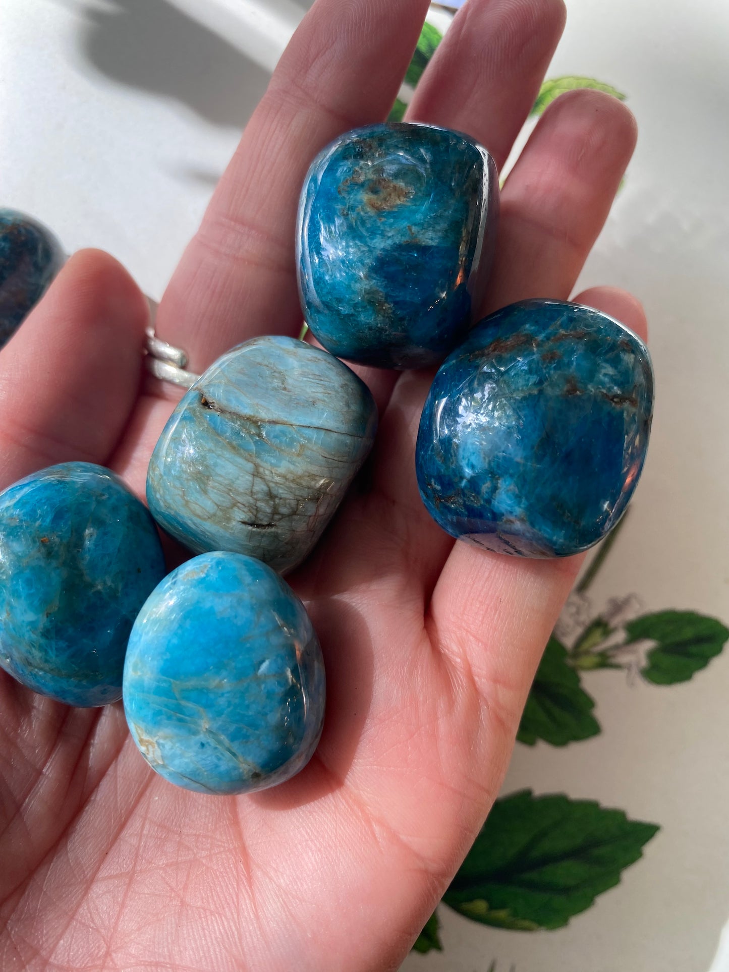 Blue Apatite Tumbled - Moon Room Shop and Wellness