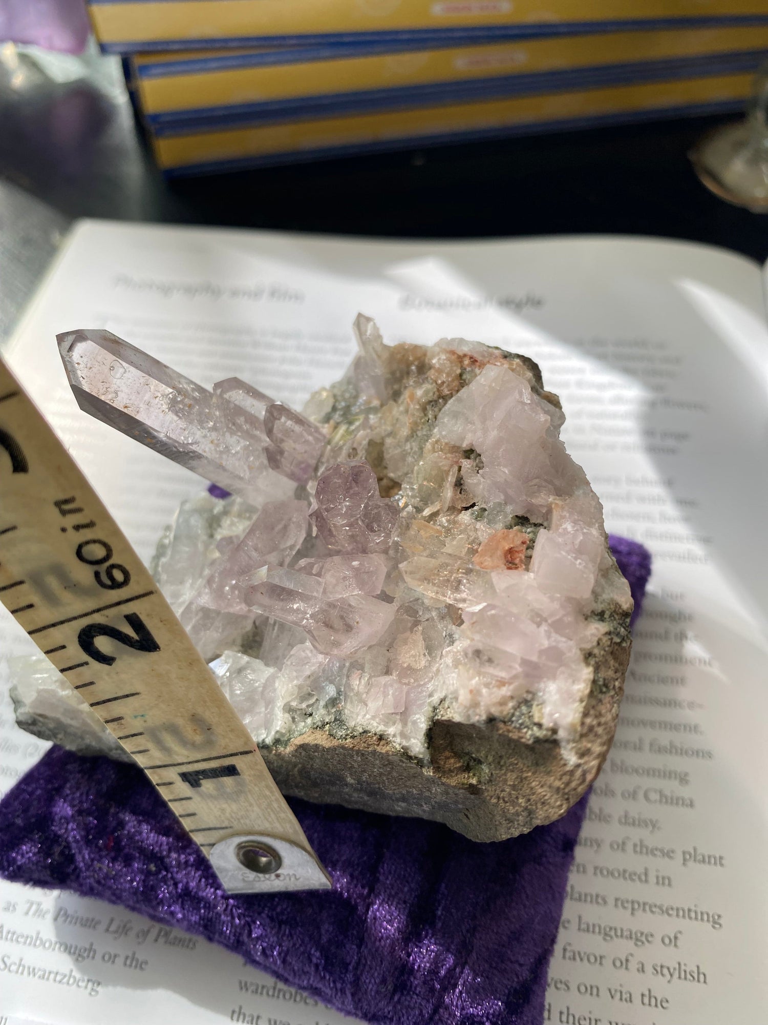 Goboboseb Amethyst on the Matrix 298 g Namibia - Moon Room Shop and Wellness