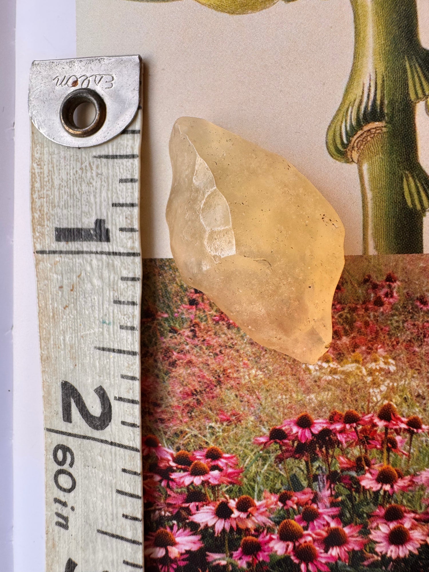 Libyan Desert Glass Tektite 5.2 gram - Moon Room Shop and Wellness