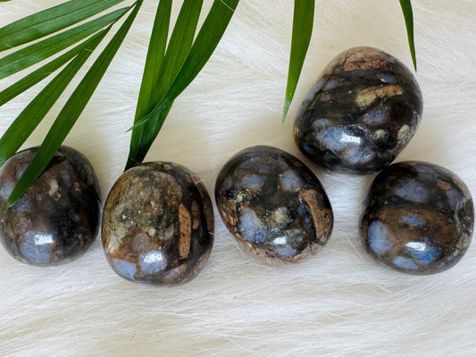 Llanite Tumbled - Moon Room Shop and Wellness