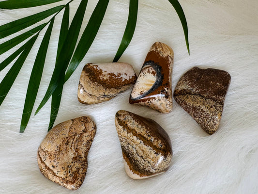 Picture Jasper Tumbled - Moon Room Shop and Wellness