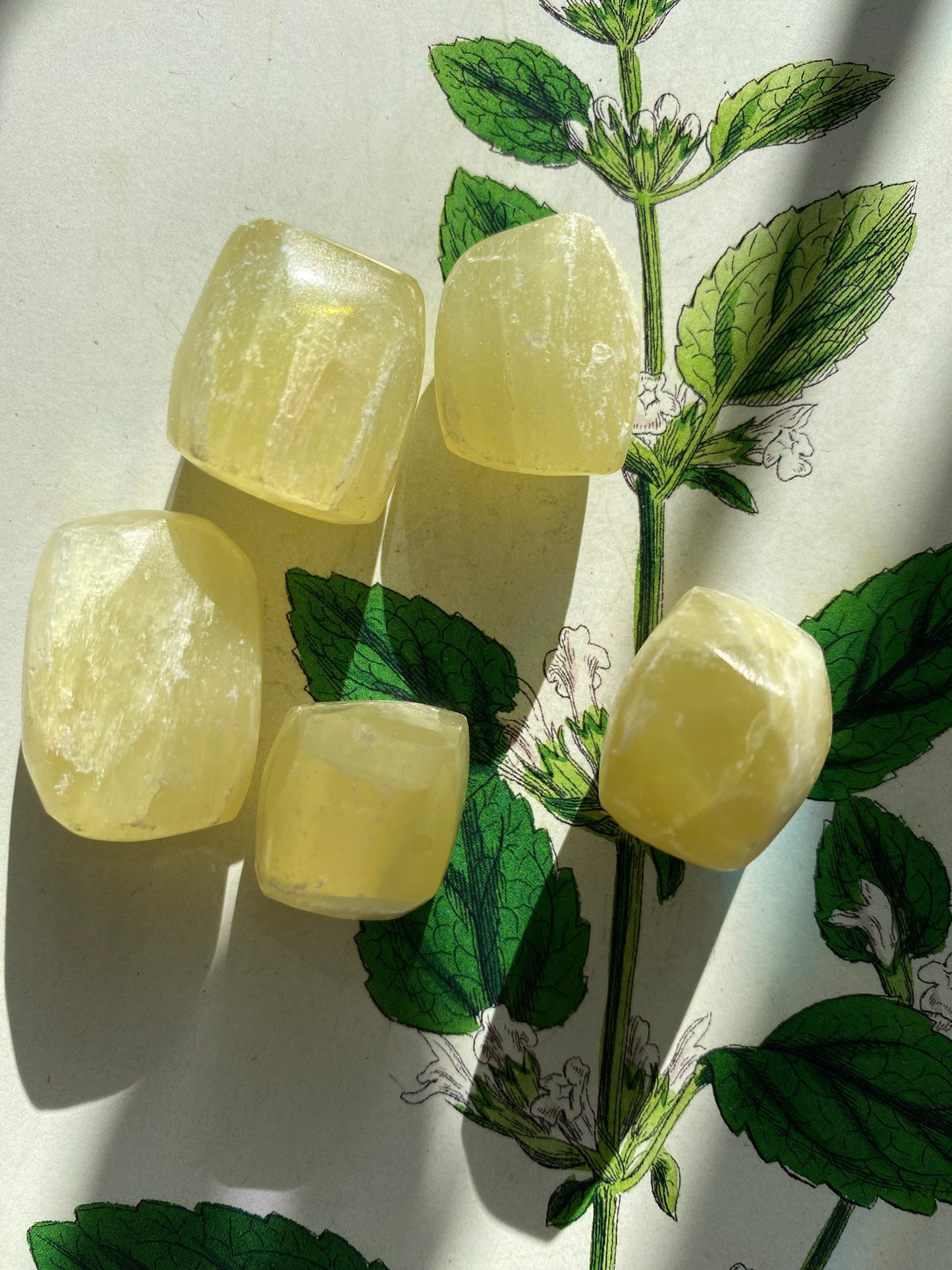 Lemon Calcite Tumbled - Moon Room Shop and Wellness