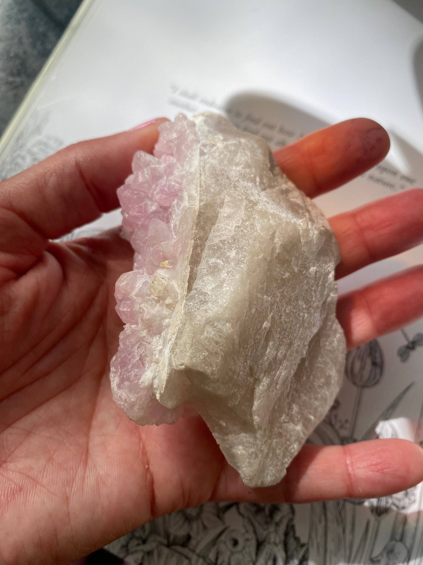 Rose Quartz Crystal Cluster 185 g Brazil - Moon Room Shop and Wellness