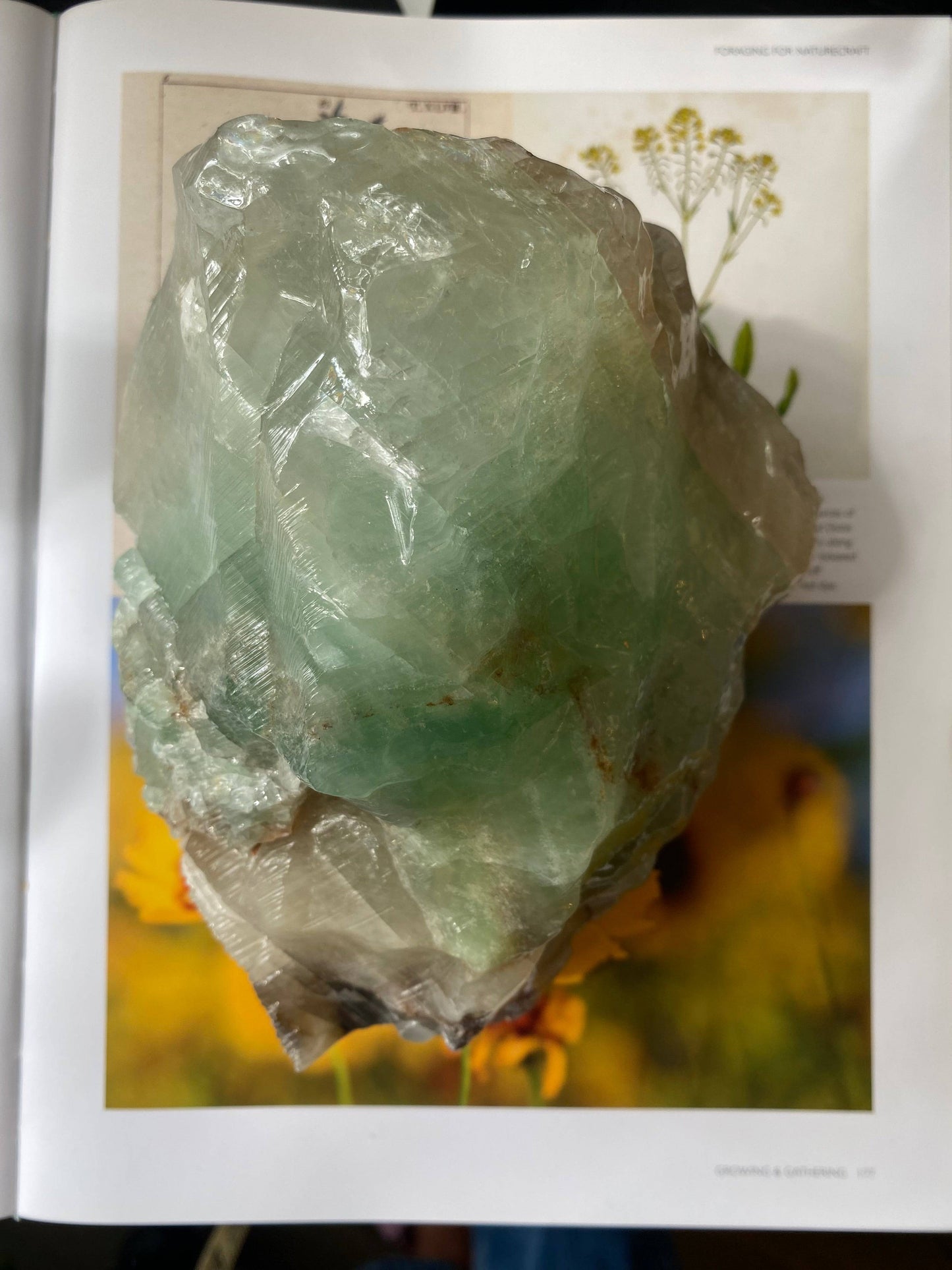 Green Calcite Freeform 3.67 lbs - Moon Room Shop and Wellness