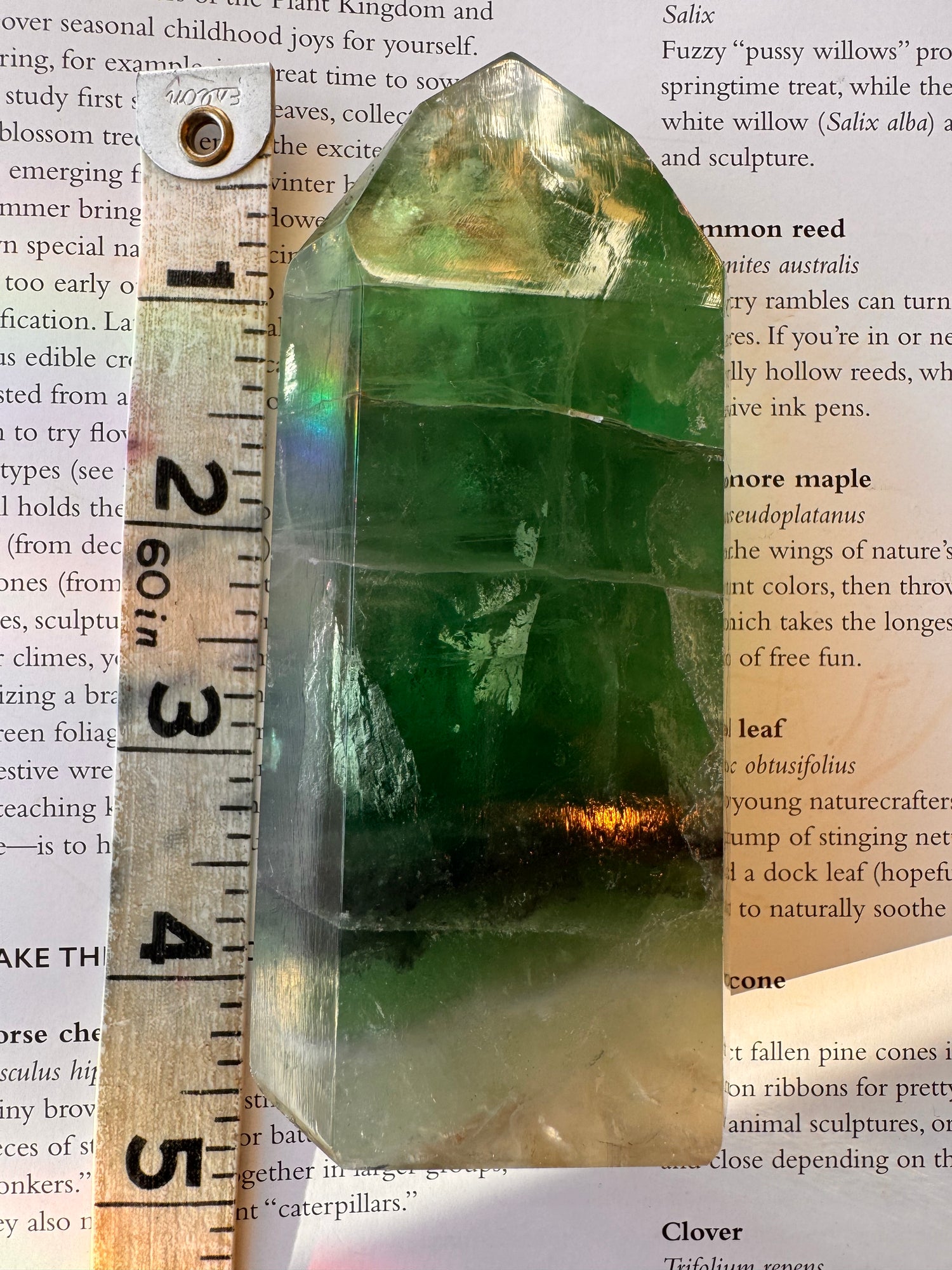 Green Fluorite Tower U.V. Reactive 319 g Argentina - Moon Room Shop and Wellness