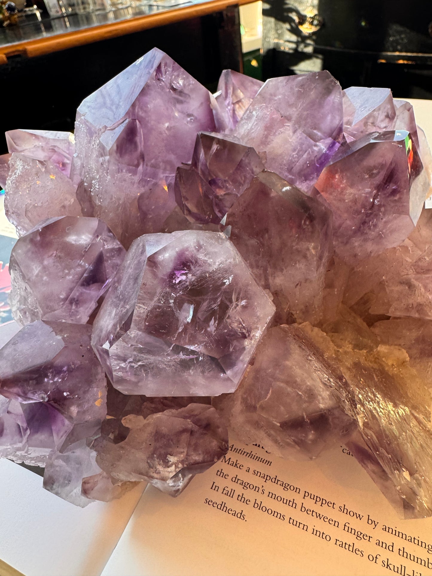 Phantom Amethyst Cluster 6.85 lb Brazil - Moon Room Shop and Wellness