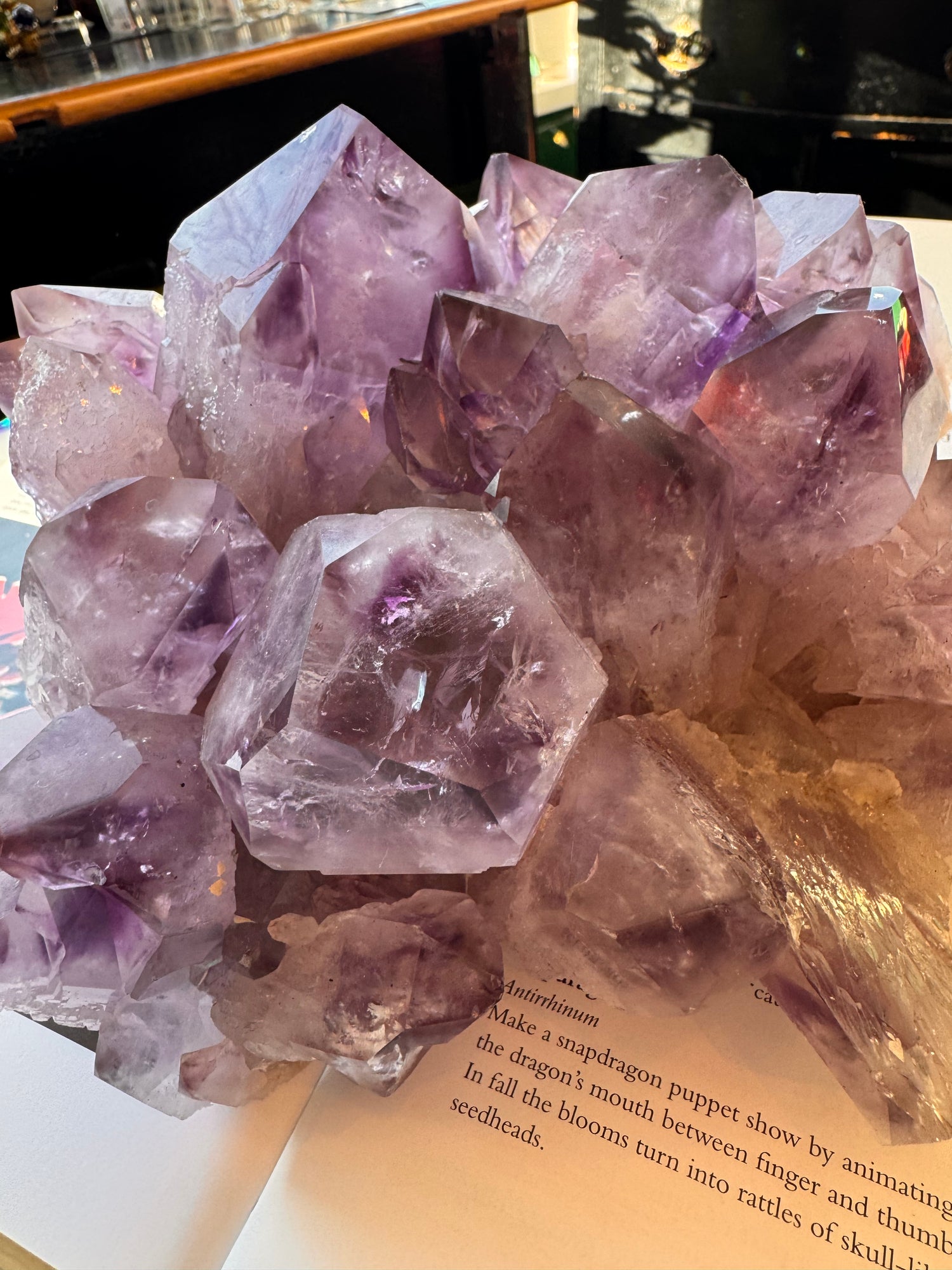 Phantom Amethyst Cluster 6.85 lb Brazil - Moon Room Shop and Wellness