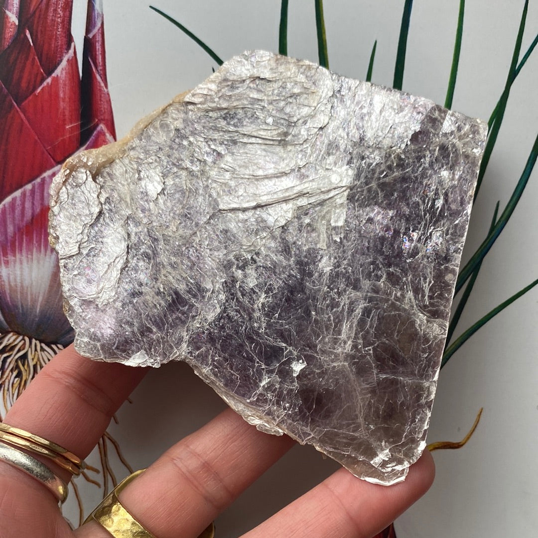 Lepidolite Mica 150 g - Moon Room Shop and Wellness