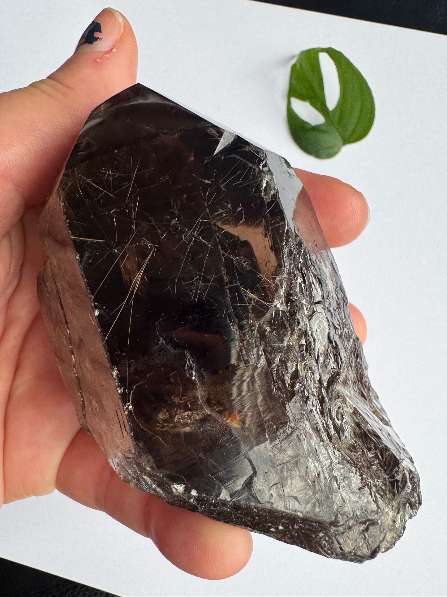 Smoky Quartz Rutilated Beauty 342 g. Brazil - Moon Room Shop and Wellness