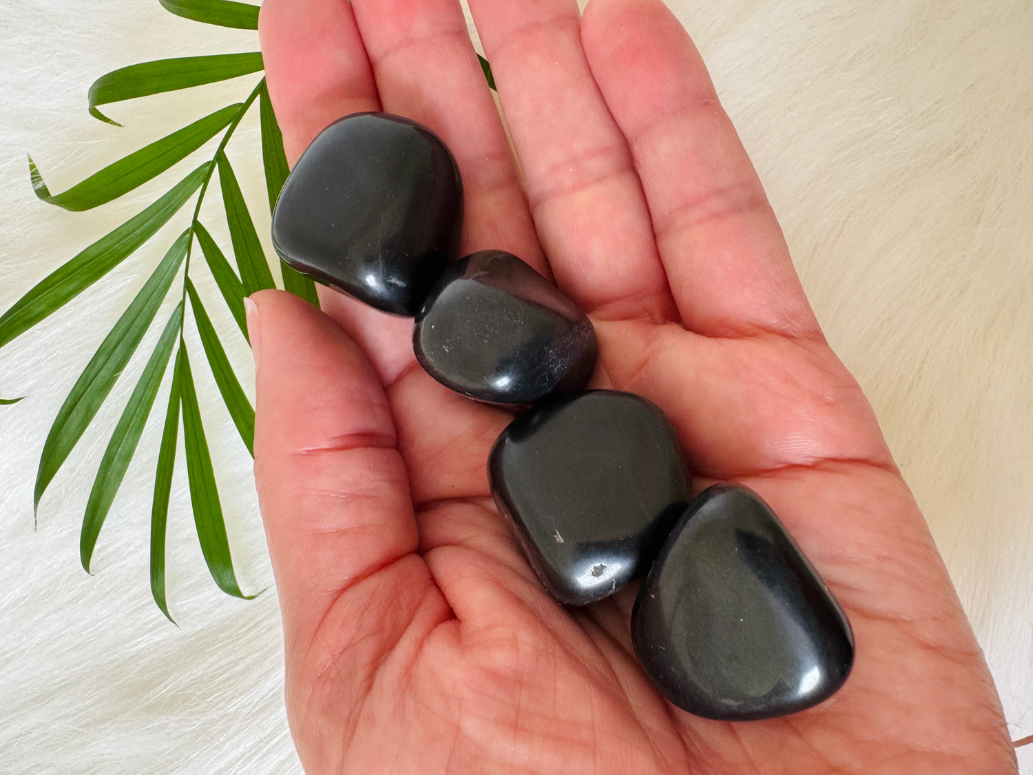 Black Tourmaline Tumbled - Moon Room Shop and Wellness