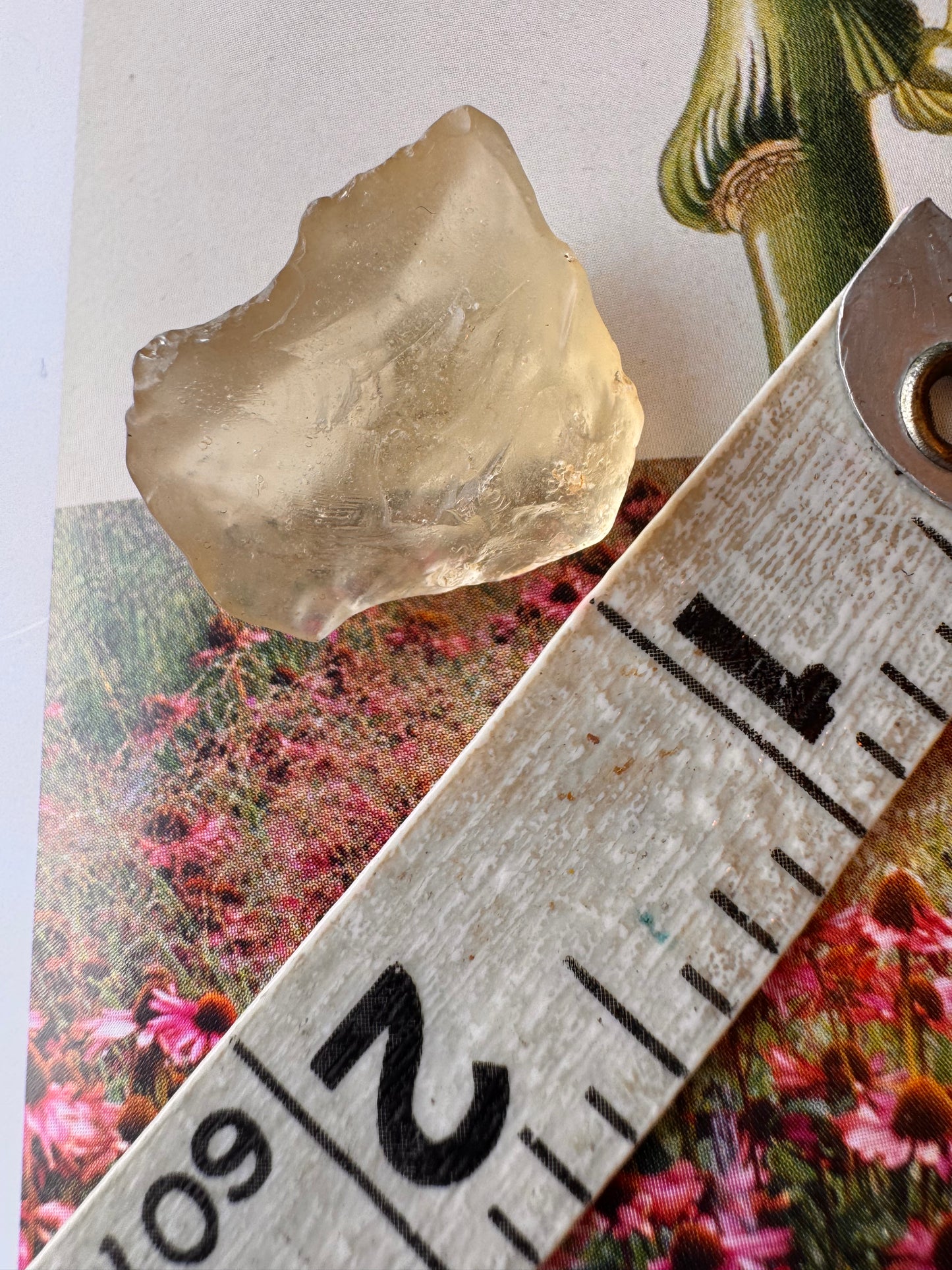 Libyan Desert Glass Tektite 4 gram - Moon Room Shop and Wellness