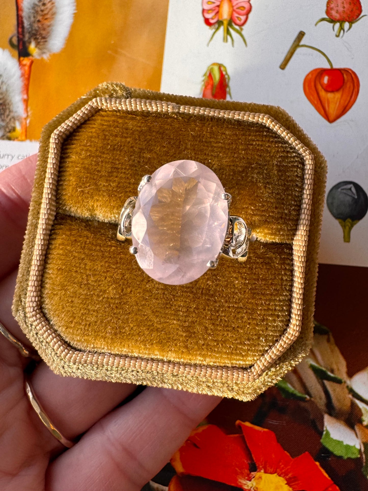 Rose Quartz Royal Sterling Silver Ring Size 8 - Moon Room Shop and Wellness
