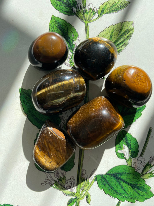 Tiger's Eye Tumbled - Moon Room Shop and Wellness