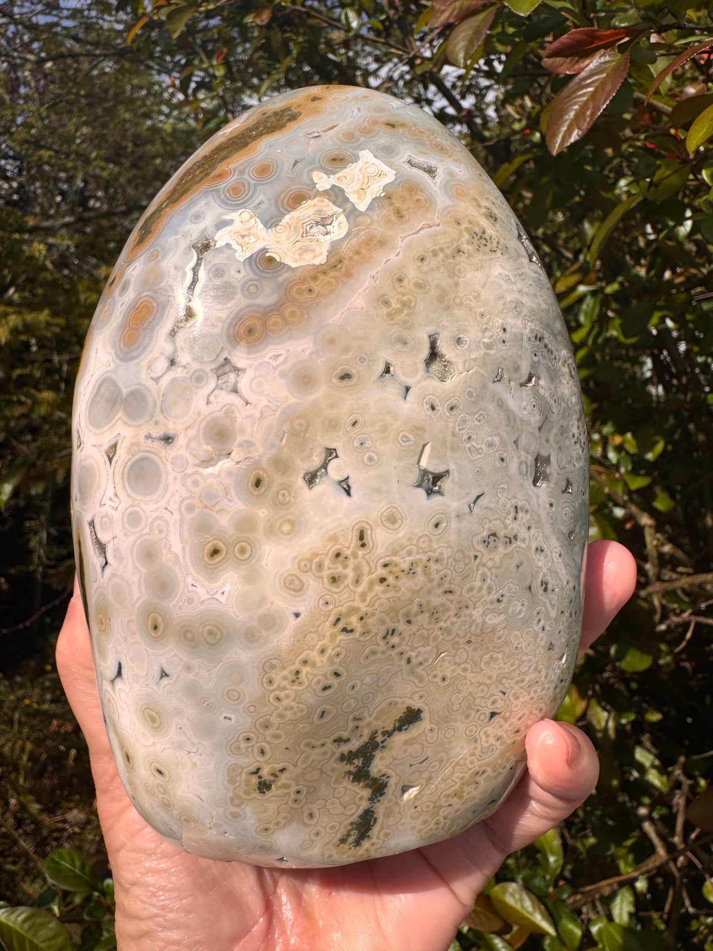 Ocean Jasper Freeform 4.23 lb Madagascar - Moon Room Shop and Wellness