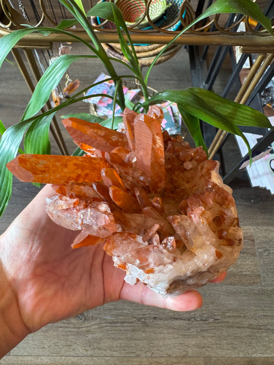 Tangerine Quartz Cluster 1.93 lbs Stunner! - Moon Room Shop and Wellness