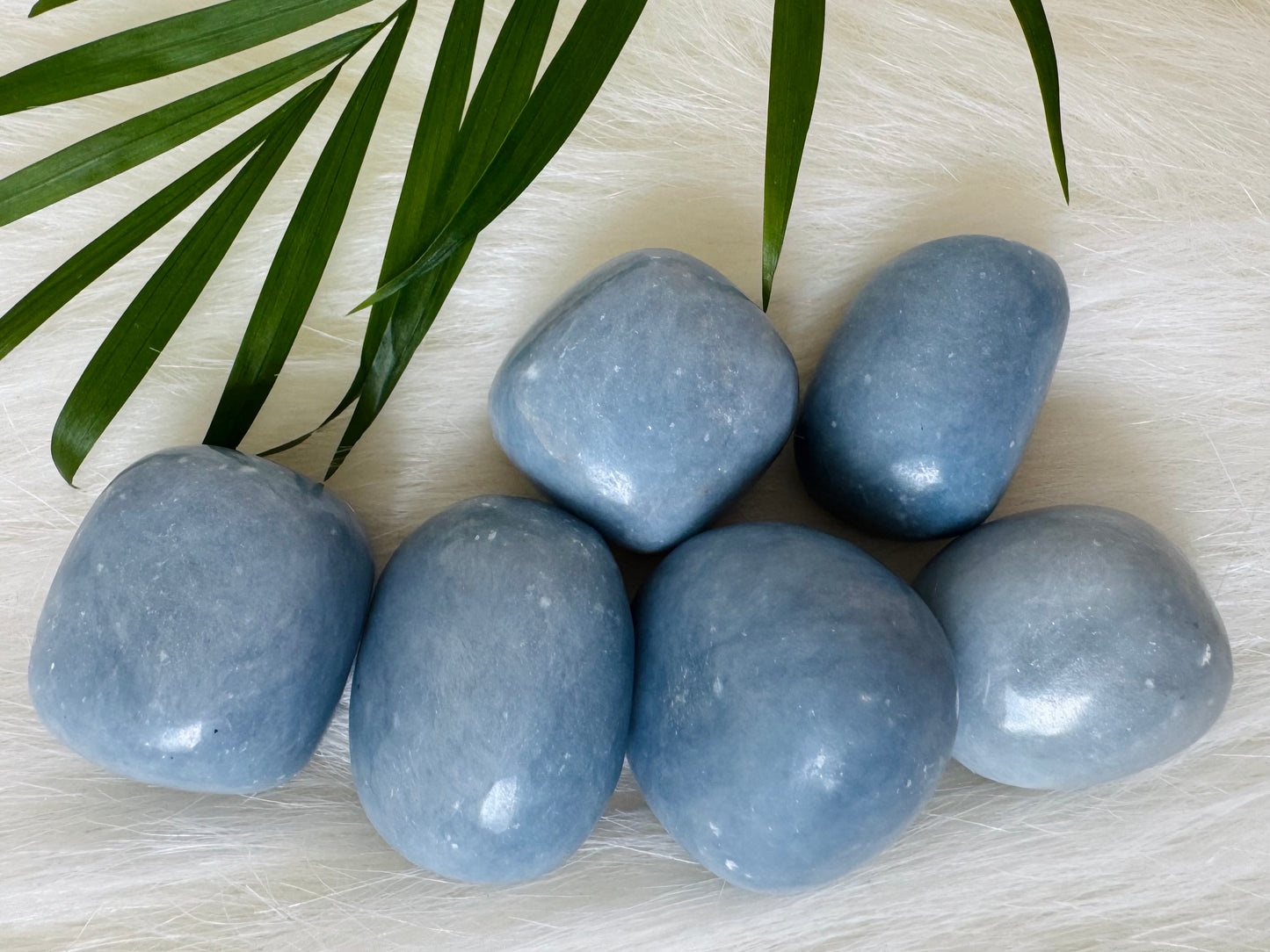 Angelite Tumbled Stone - Moon Room Shop and Wellness