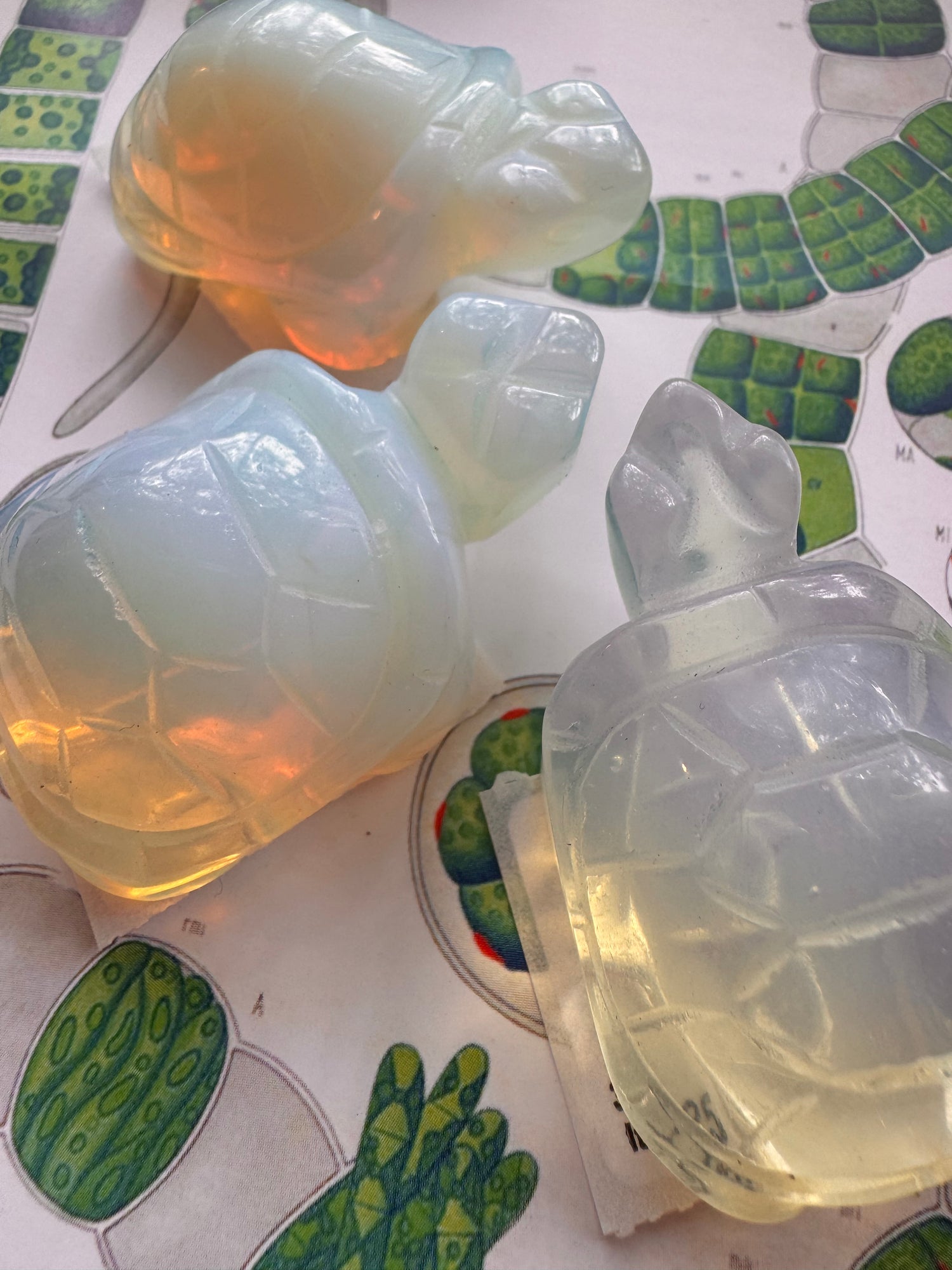 Opalite Turtle - Moon Room Shop and Wellness