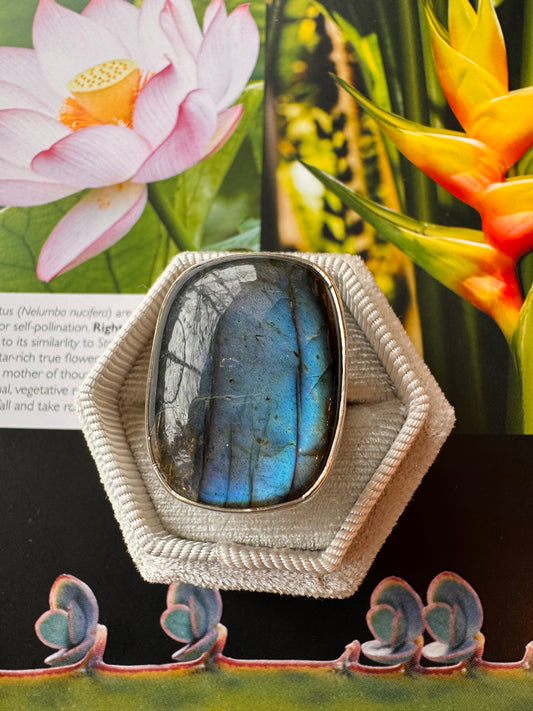 Labradorite Sterling Silver Ring Size Adjustable6-8 - Moon Room Shop and Wellness