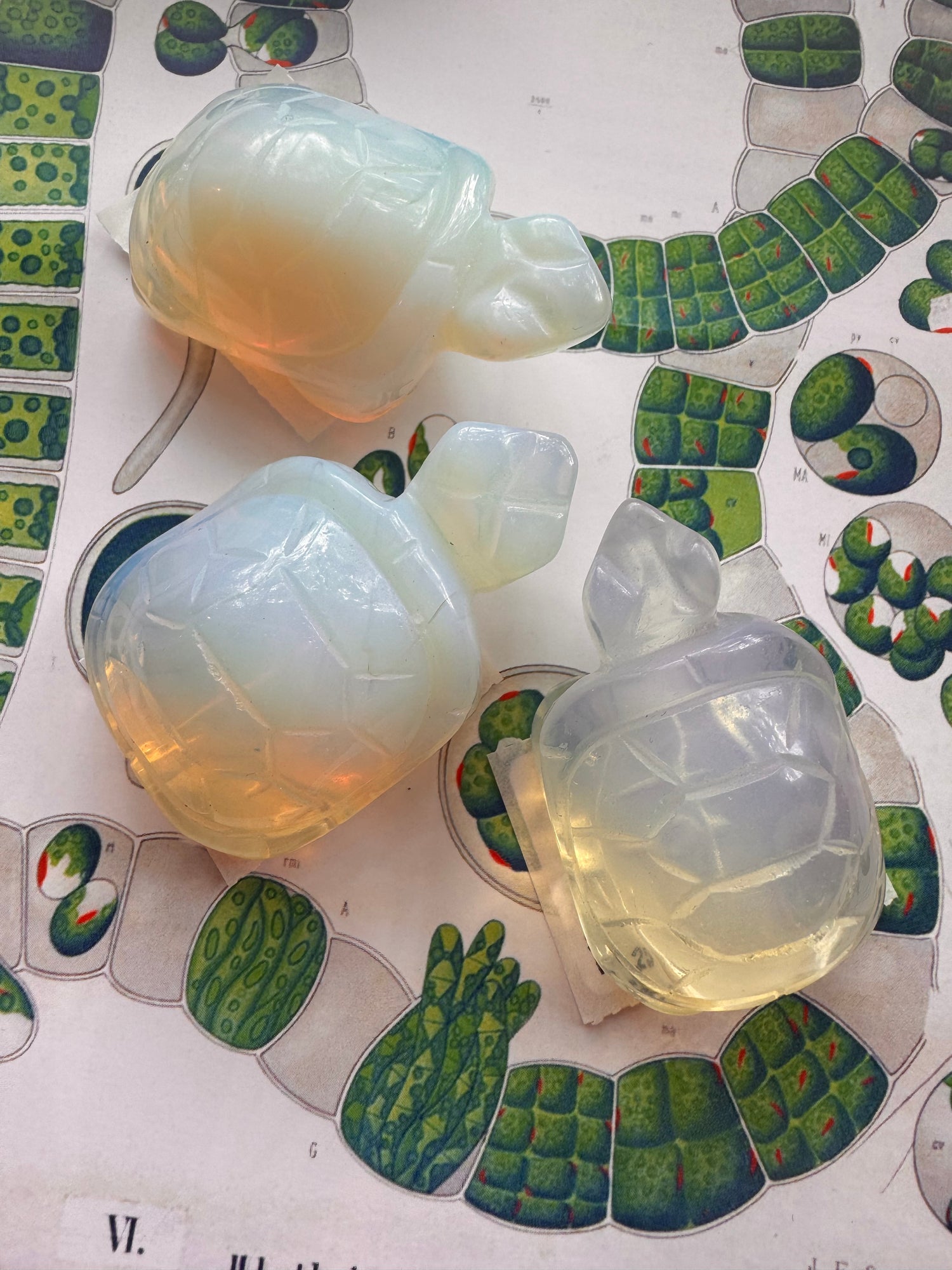 Opalite Turtle - Moon Room Shop and Wellness