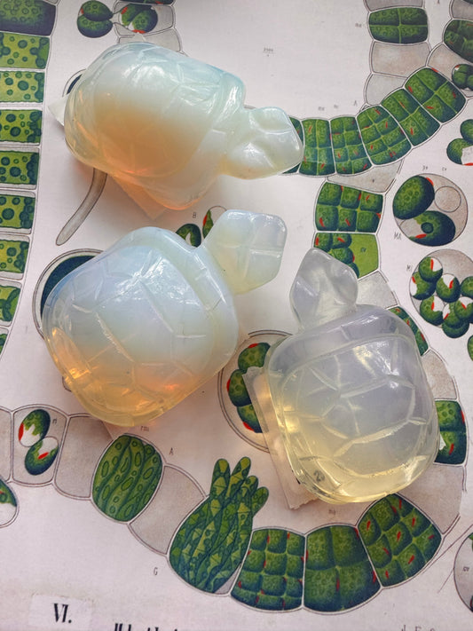 Opalite Turtle - Moon Room Shop and Wellness