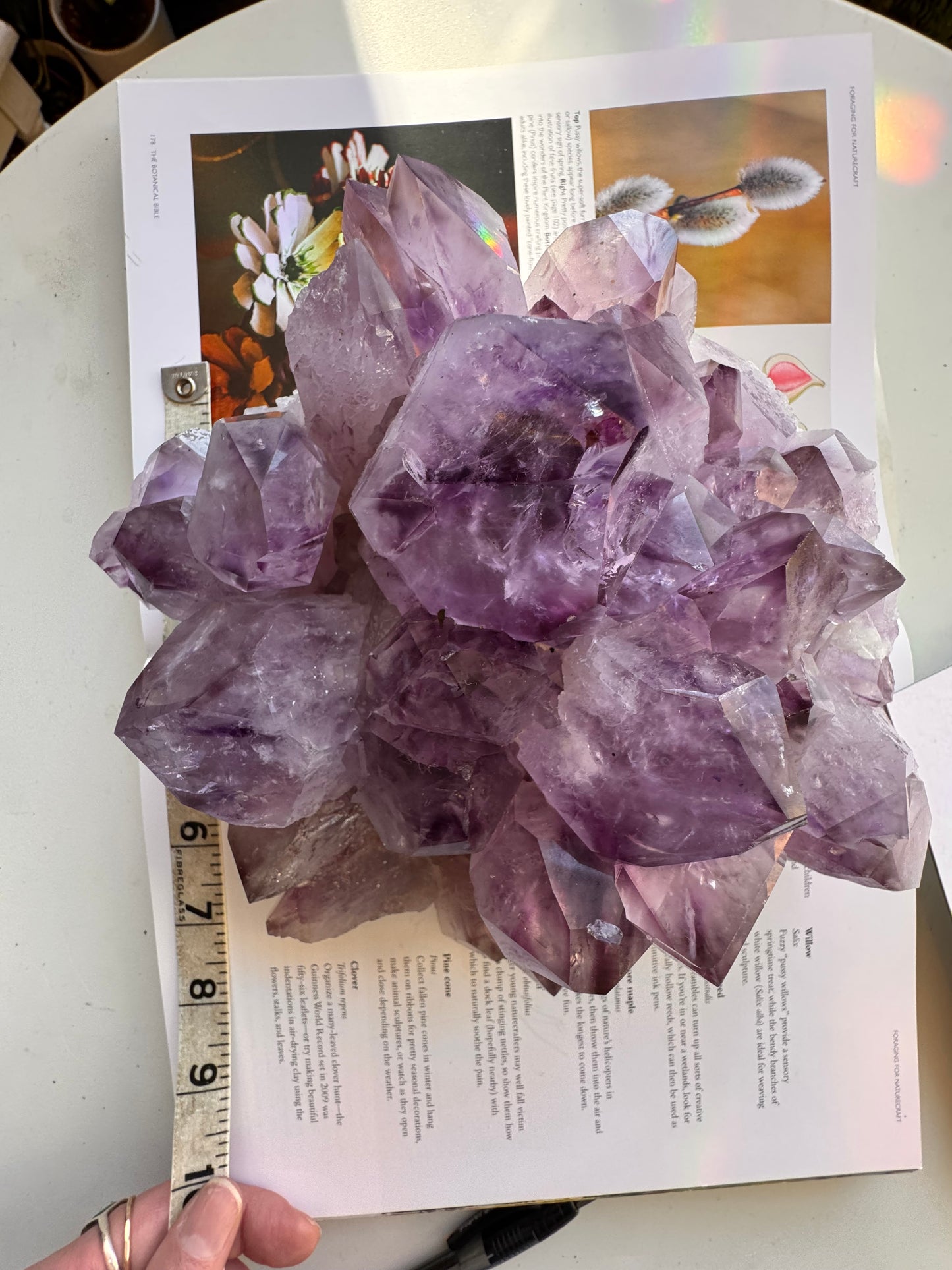 Phantom Amethyst Cluster 6.85 lb Brazil - Moon Room Shop and Wellness