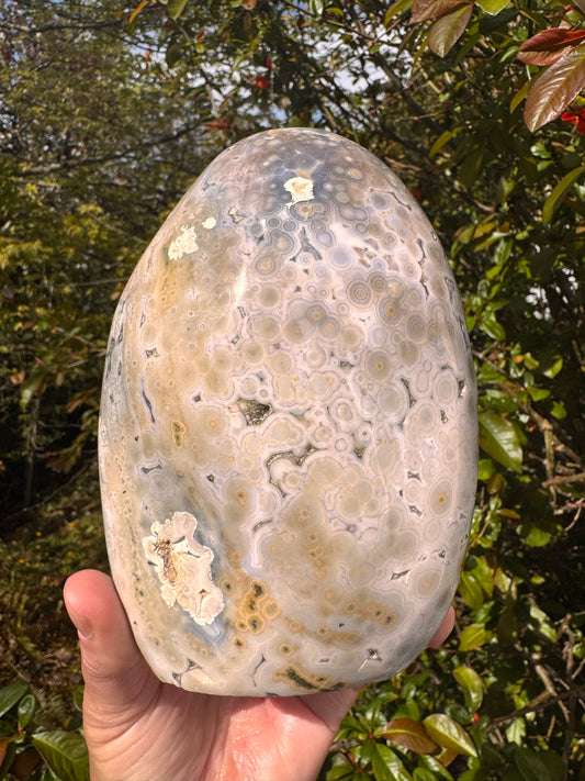 Ocean Jasper Freeform 4.23 lb Madagascar - Moon Room Shop and Wellness