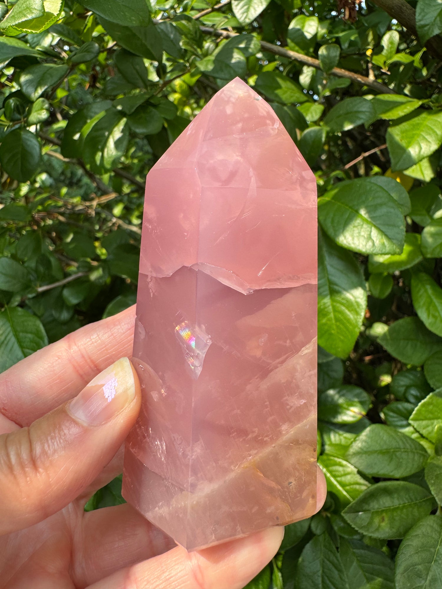 Guava Rose Quartz Tower w Golden Healer - Gorgeous! 254 g - Brazil - Moon Room Shop and Wellness