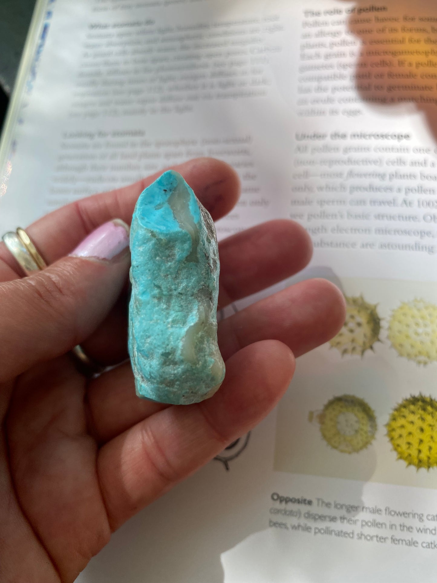 Kingman Turquoise Natural Rough 199 ct - Moon Room Shop and Wellness