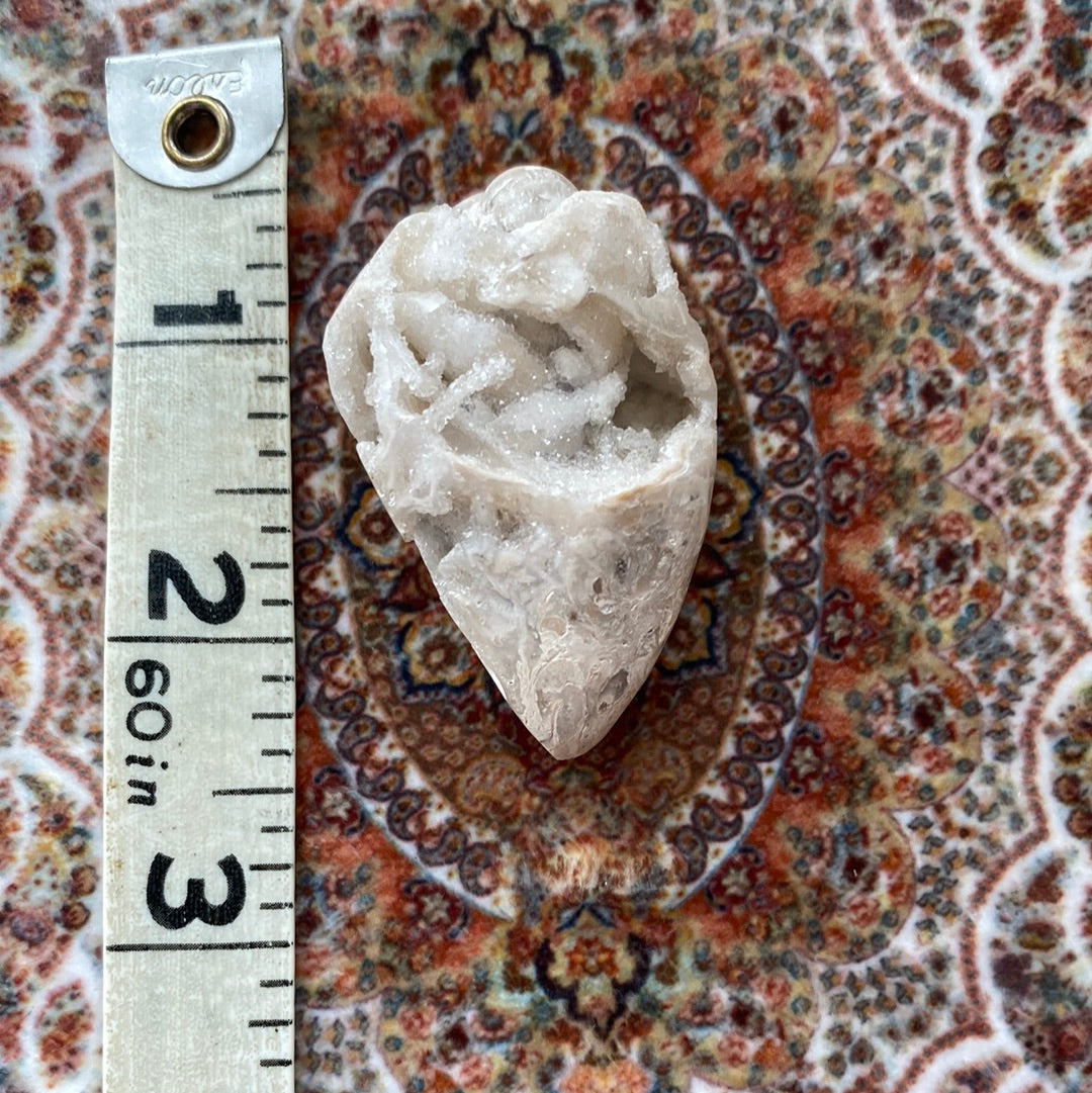 Spiralite Fossilized Gemshells w/ Quartz 31 g - Moon Room Shop and Wellness