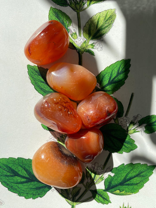 Carnelian Tumbled - Moon Room Shop and Wellness