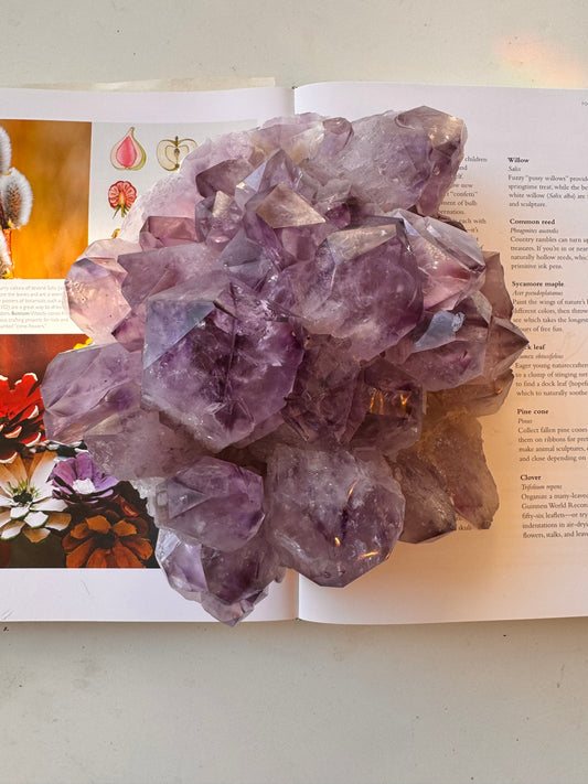 Phantom Amethyst Cluster 6.85 lb Brazil - Moon Room Shop and Wellness