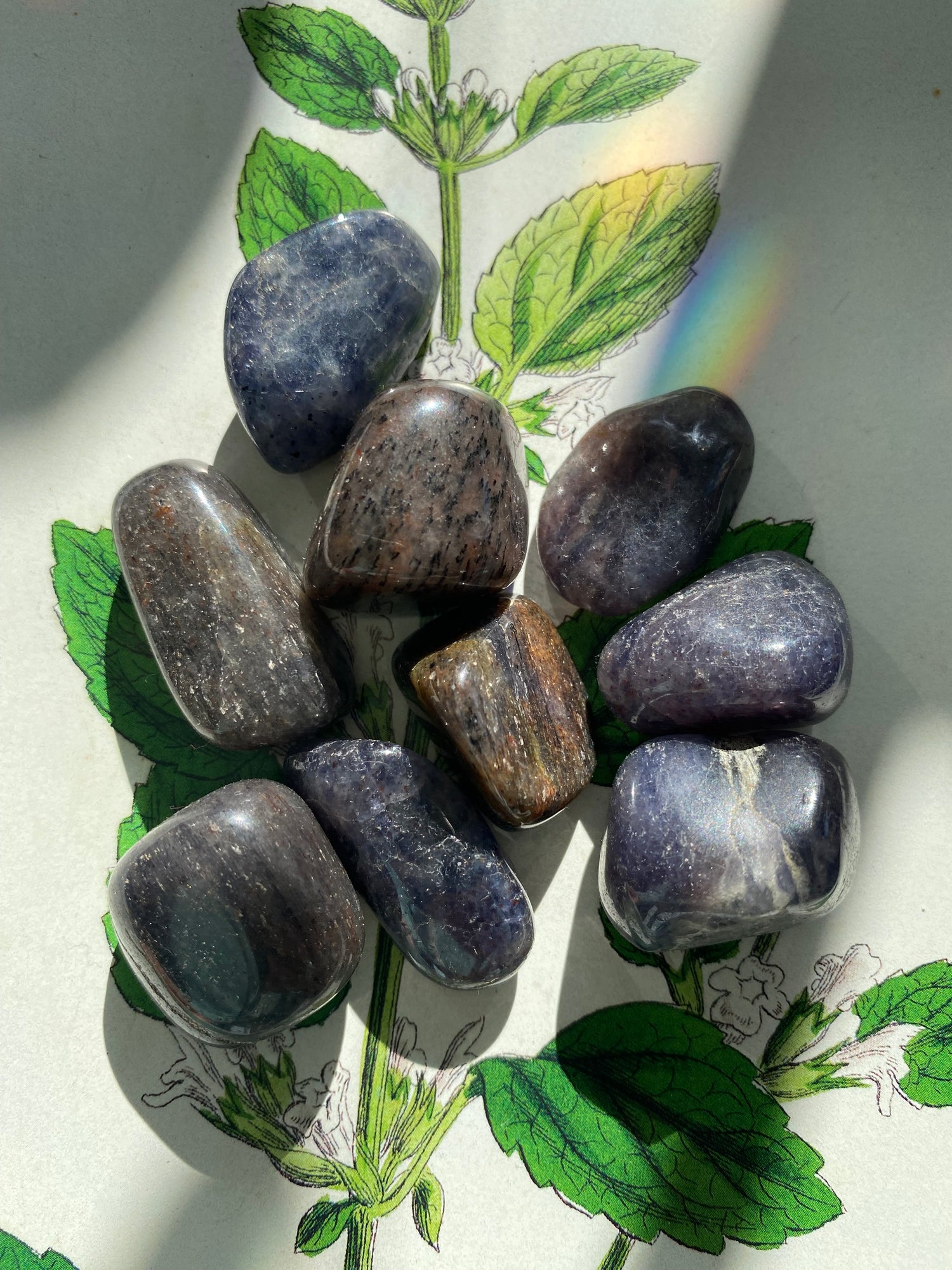 Iolite Tumbled - Moon Room Shop and Wellness