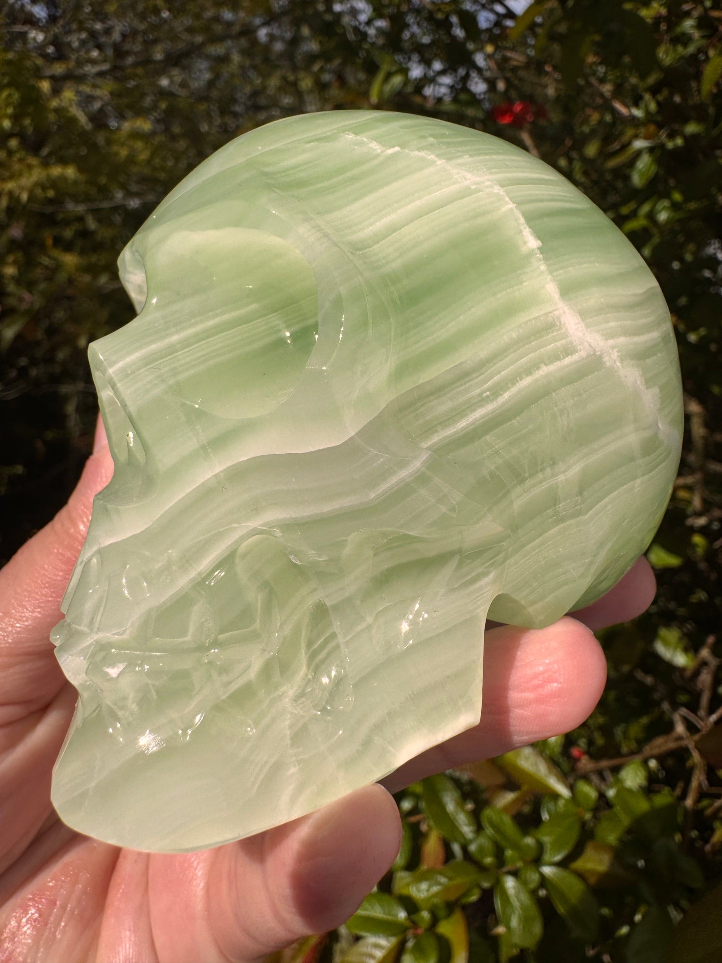 Green Onyx/Calcite Skull  1.76 lb Mexico - Moon Room Shop and Wellness