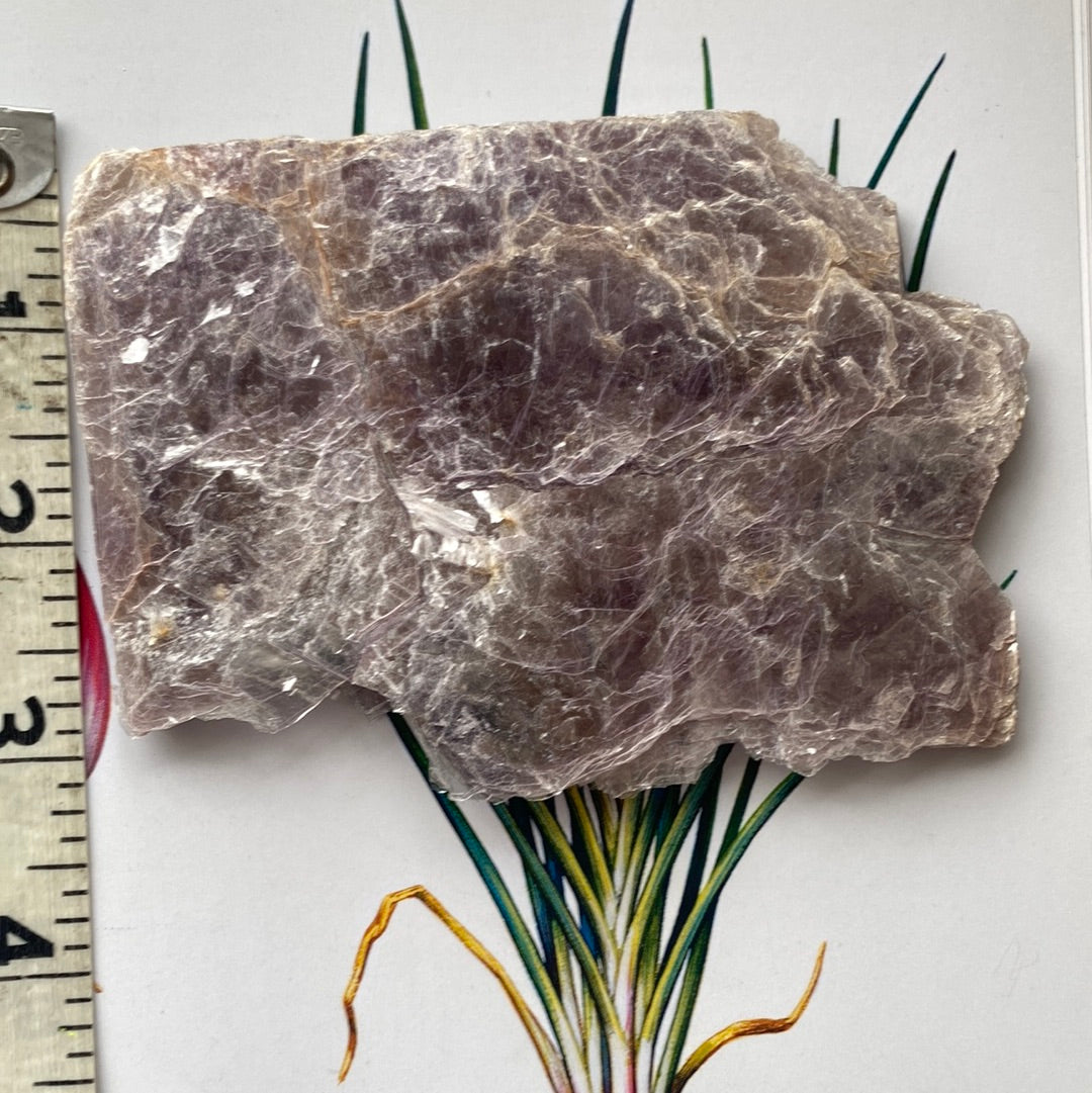 Lepidolite Mica 104 g - Moon Room Shop and Wellness