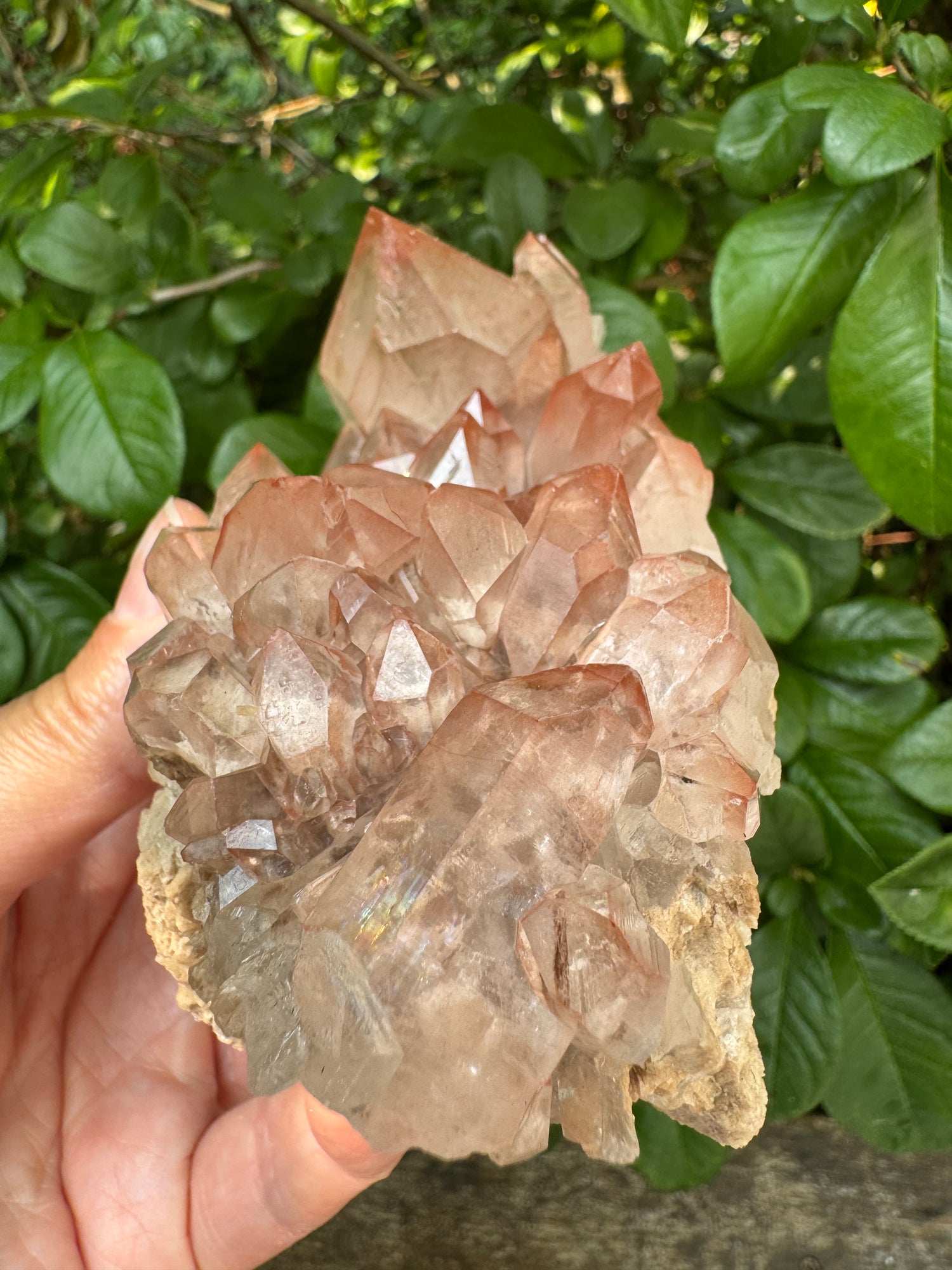 Pink Lithium Quartz Cluster 1lb 5oz - Brazil- Peaceful Beauty! - Moon Room Shop and Wellness