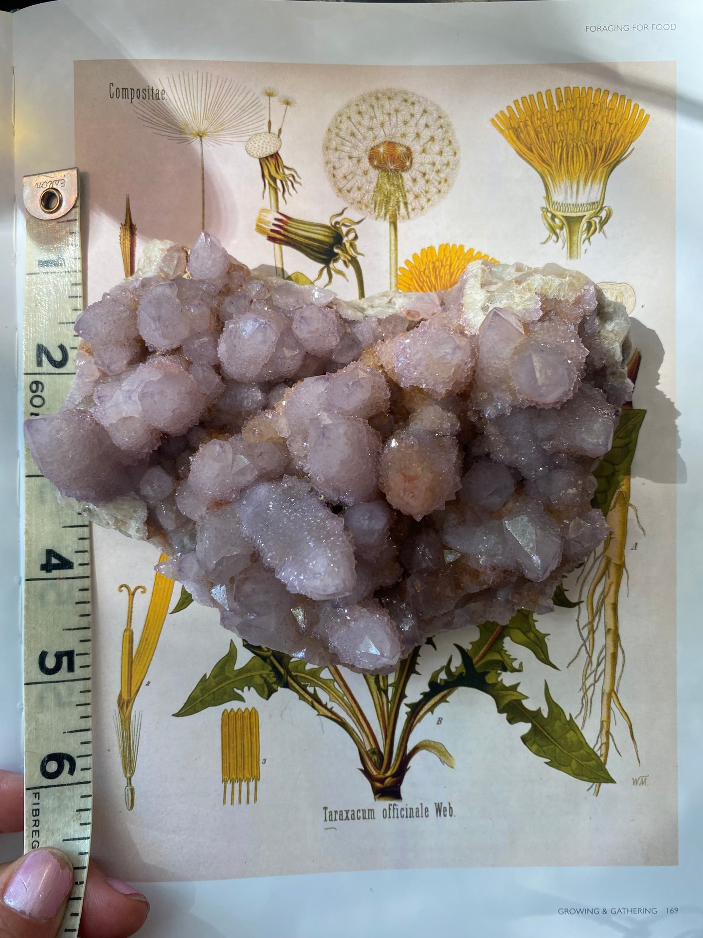 Spirit Quartz Cluster 1.28 lbs South Africa - Moon Room Shop and Wellness