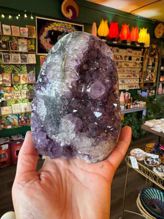 Amethyst Standing Cluster 3.64 lb Gorgeous!