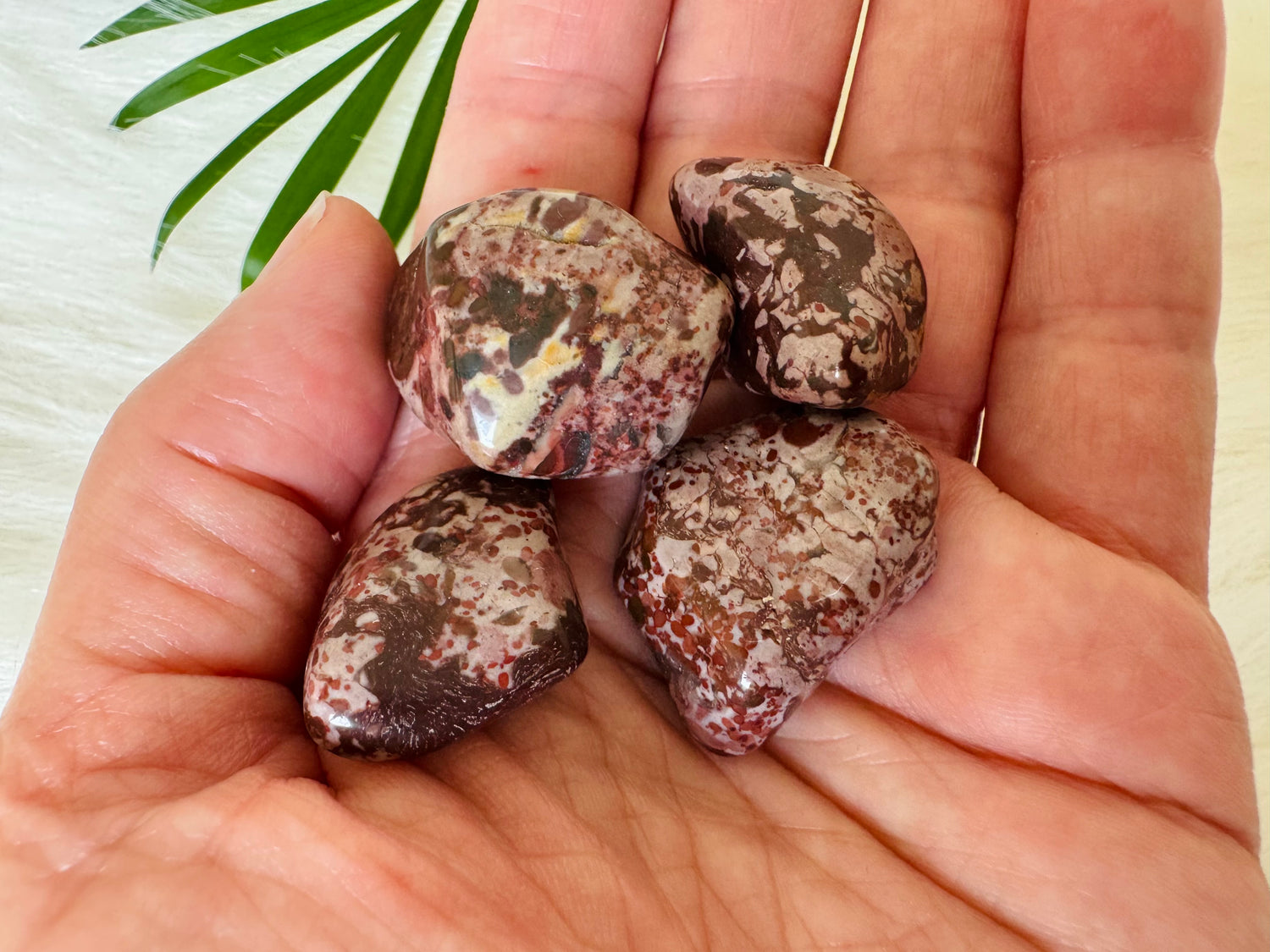 Red Leopard Skin Jasper Tumbled - Moon Room Shop and Wellness