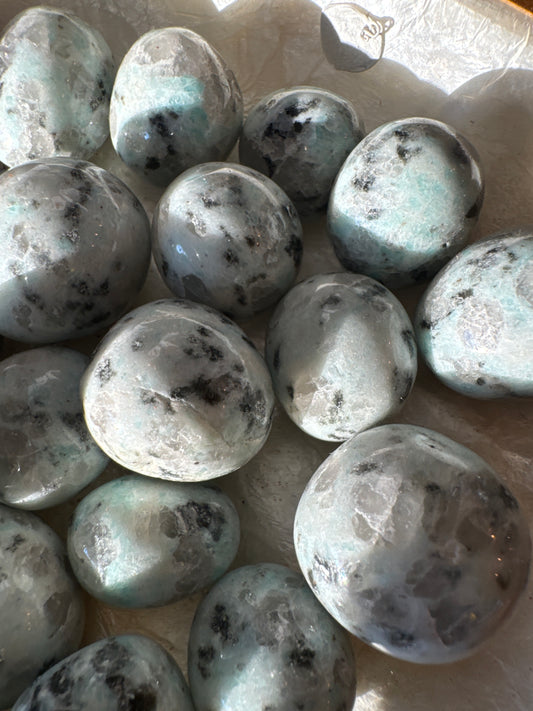 Kiwi Jasper Tumbled - Moon Room Shop and Wellness